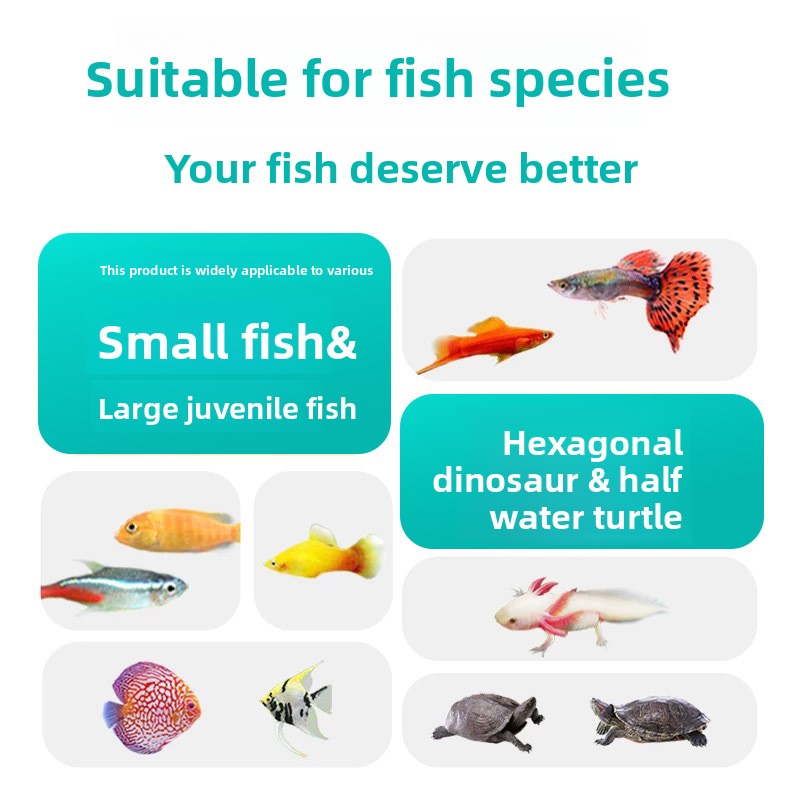 DONGYUJIANG Cacing Darah Beku- - Aquarium Fish Vitamin ulasan dan harga