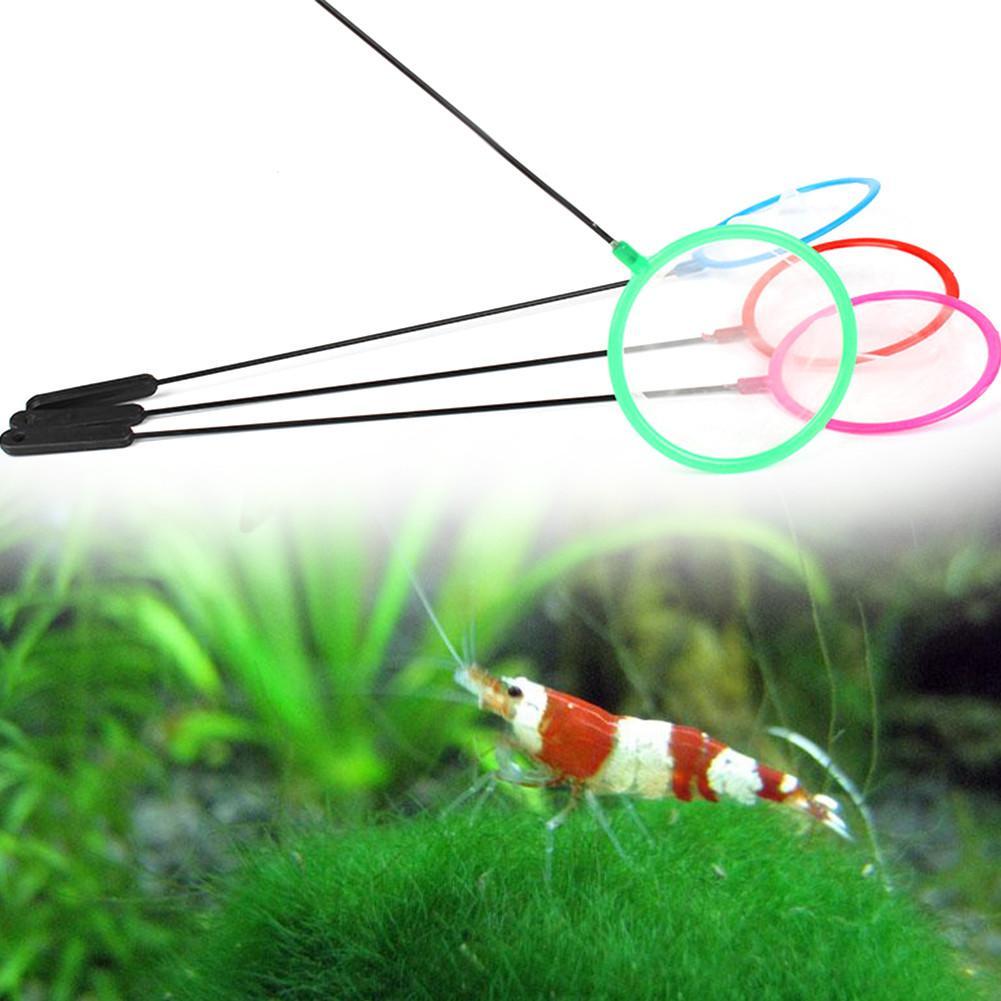 1/5/10 Buah Jaring Ikan Akuari - Aquarium Fish Net Small ulasan dan harga